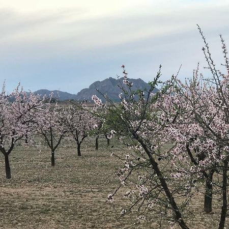 Cortijo De Los Castellanos Las Ventanas Eksteriør bilde