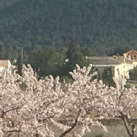 Cortijo De Los Castellanos Las Ventanas Eksteriør bilde